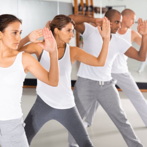 people lined up in a self defence pose