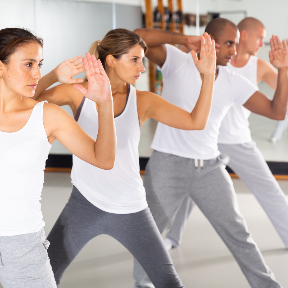 people lined up in a self defence pose